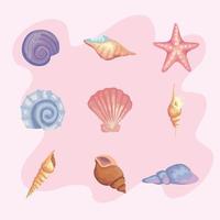 bundle of nine sea shells colors set icons vector