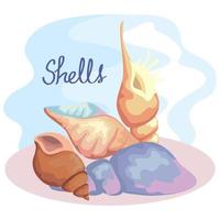 four sea shells colors set scene and lettering vector