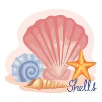 four sea shells set scene and lettering vector