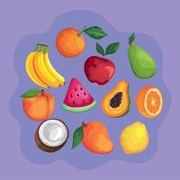 tropical fruits around vector