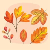 autumn five leafs vector