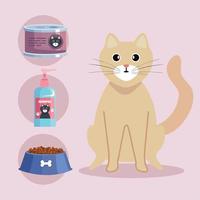 cat and pet shop vector