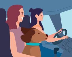 girls driving car with dog vector