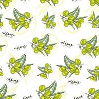 Seamless pattern with a branch of green olives vector