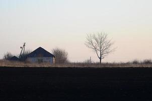 Dawn in the village. A minimalistic photo with a horizon line on which there is an apartment house and a tree