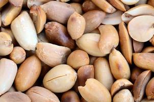 maní. un montón de pequeñas nueces amarillas sin cáscara. textura de fondo foto