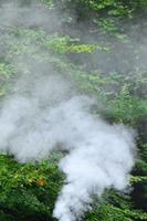 White smoke spreads over the background of forest trees photo