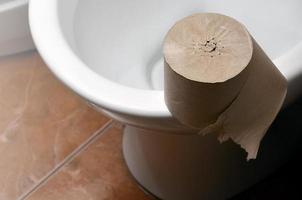 A roll of gray toilet paper lies on a white ceramic toilet in the bathroom photo