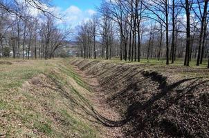 Spring landscape with a deep ravine filled with fallen leaves surrounded by a lot of trees on the edge of the forest next to the village photo