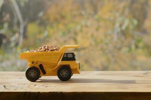 A small yellow toy truck is loaded with brown grains of buckwheat. A car on a wooden surface against a background of autumn forest. Extraction and transportation of buckwheat photo