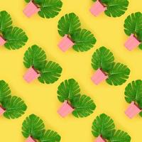 Tropical palm monstera leaves lies in a pastel pails on a colored background. Flat lay trendy minimal pattern. Top view photo