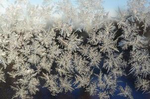 Snowflakes frost rime macro on window glass pane photo