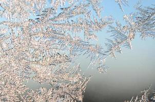 Snowflakes frost rime macro on window glass pane photo