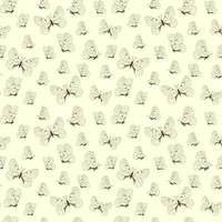Seamless pattern with butterflies. Vector illustration photo