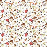 Autumn Mushrooms seamless pattern -  Vector illustration photo