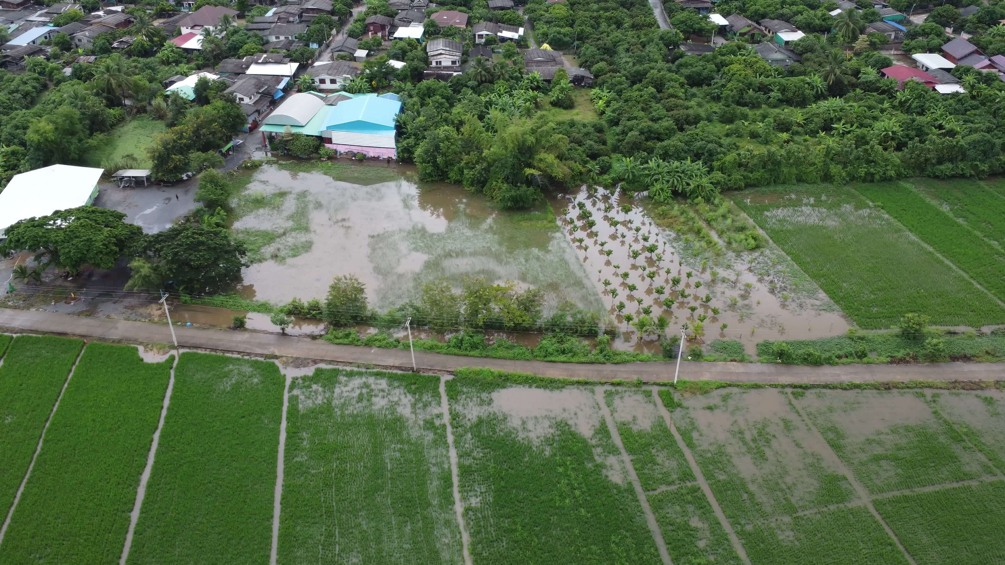 Aerial view of rice fields or agricultural areas affected by rainy