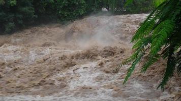 waterval cataract in Woud bergen. vuil streams zijn vloeiende naar beneden de berg hellingen van de berg Woud na zwaar regent in Thailand. rivier- overstroming, selectief focus. video