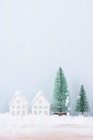 Christmas tree and home with snow frost field of natural Landscape background for celebration and Happy New Year photo