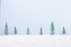 Christmas tree with snow frost field of natural Landscape background for celebration and Happy New Year photo