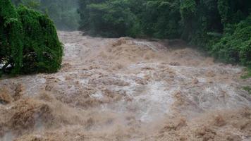 catarata de cascada en las montañas del bosque. arroyos sucios fluyen por las laderas de las montañas del bosque de montaña después de fuertes lluvias en tailandia. inundación del río, enfoque selectivo. video