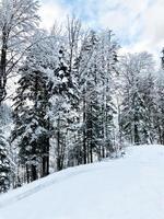 hallstatt paisaje de montaña nevada de invierno el bosque de pinos en el valle de las tierras altas conduce a la antigua mina de sal de hallstatt en un día de nieve, austria foto