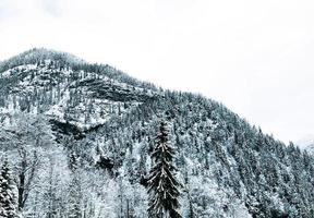 hallstatt dreamscape invierno nieve montaña paisaje aventura al aire libre en día nevado temporada de invierno, austria foto