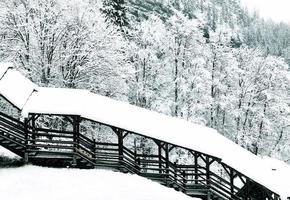 The bridge at old salt mine of Hallstatt Winter snow mountain landscape the pine forest in snowy day, Austria photo