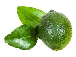 fresh green kaffir lime fruit with leaves isolated photo