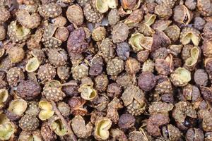 many dried pods of Sichuan pepper photo