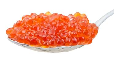 salty Sockeye salmon Red caviar on spoon close up photo