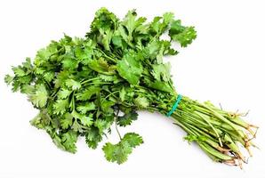 bunch of fresh cut green cilantro herb on white photo