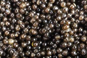 muchos caviar de esturión negro de cerca foto