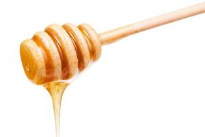 clear honey flows down from wooden stick isolated photo