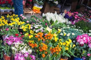 flower shop on street in Padua city in spring photo