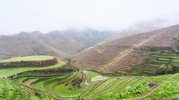 above view of terraced rice fields on hills photo