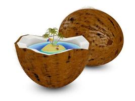 island in coconut photo