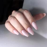 French manicure on the nails. French manicure design. Manicure gel nail polish photo