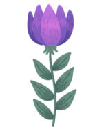 Colorful flower illustration. PNG with transparent background.