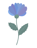 ilustración de flores de colores. png con fondo transparente.