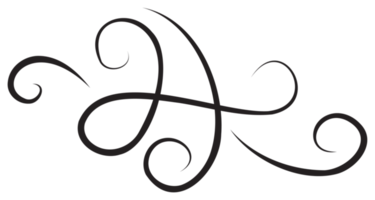 Calligraphic design element with black thin line. PNG with transparent background.