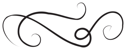 elemento de diseño caligráfico con línea delgada negra. png con fondo transparente.