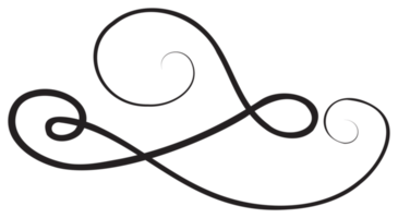 Calligraphic design element with black thin line. PNG with transparent background.