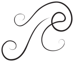 elemento de diseño caligráfico con línea delgada negra. png con fondo transparente.