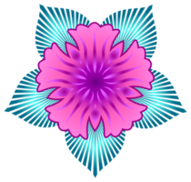 bloem ornament. PNG met transparant achtergrond.