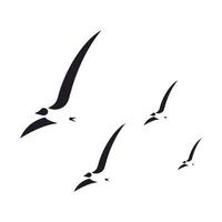 silueta de gaviotas, sobre un fondo transparente vector