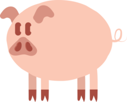 Pig Cartoon Hand Drawn Illustration png