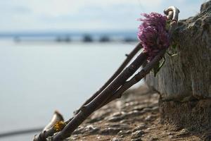 Flower wreath on vaetterm at Naes slott ruin in Sweden. Landscape photo