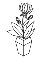 fleurs dans une illustration de contour de vase. png avec fond transparent.