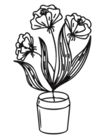 flores em uma ilustração de contorno de vaso. png com fundo transparente.