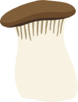 doodle freehand sketch drawing of king trumpet mushroom. png